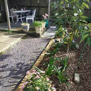 Spring Guest house